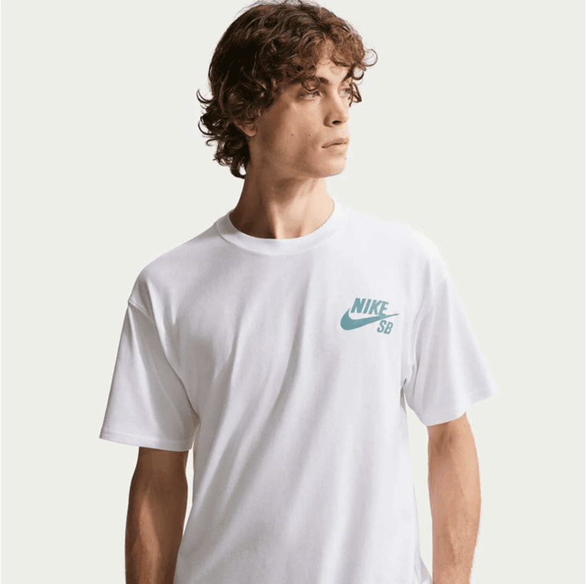 Camiseta Nike Sb Masculina