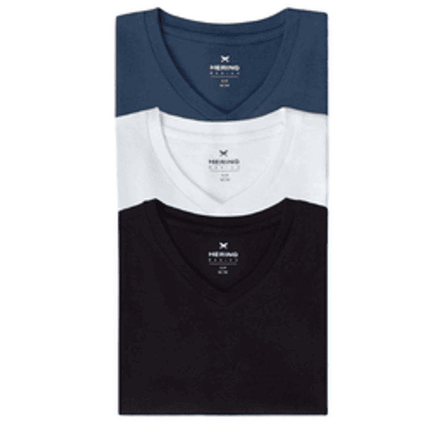 Kit Com 3 Camisetas Masculinas Básicas Slim Gola V Hering