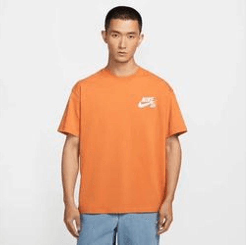 Camiseta Nike Sb Masculina