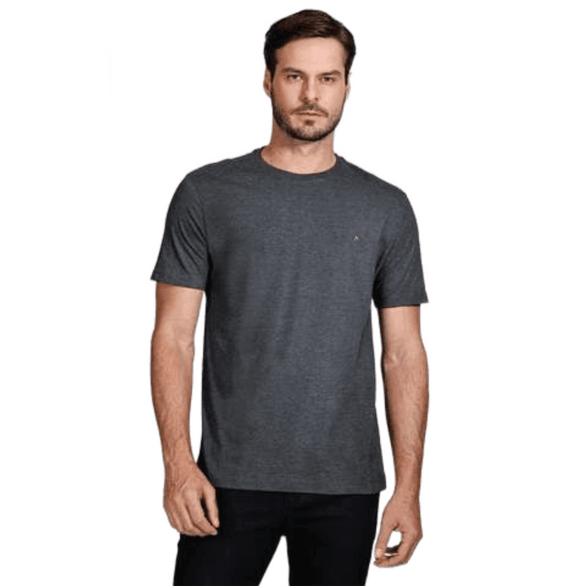 Camiseta Aramis Básica Manga Curta Grafite Mescla