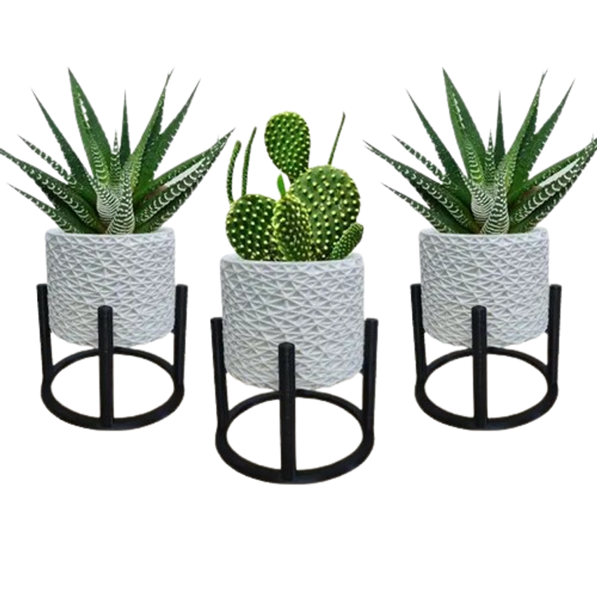 3 Vasos Cachepot Suculenta Erva Flor Decoração Casa Suspenso