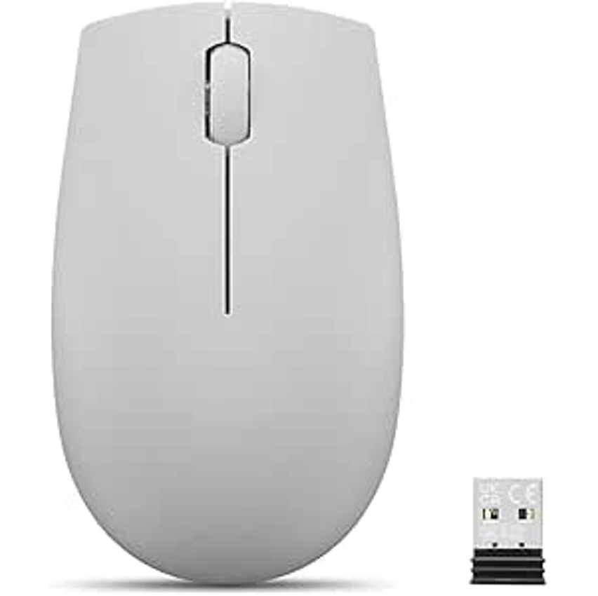 Mouse sem fio compacto Lenovo 300 cinza GY51L15678